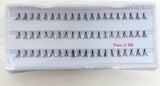 (6 packs) Everlash Eyelash