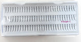 (6 packs) Everlash Eyelash